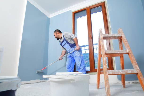 Best Water Damage & Mold Remediation  in South Rosemary, NC