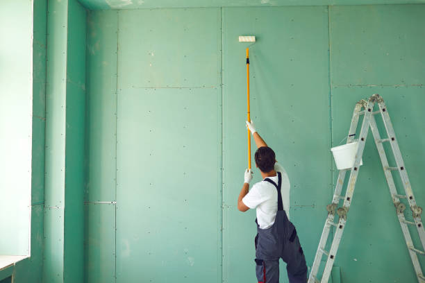 Best Mold Damage Restoration  in South Rosemary, NC