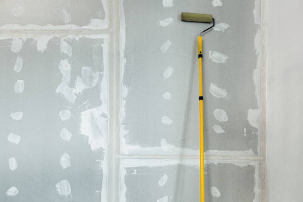 Best Biohazard Mold Removal  in South Rosemary, NC