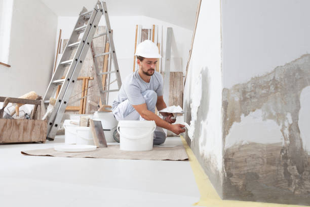 Best Environmental Consulting for Mold Prevention  in South Rosemary, NC