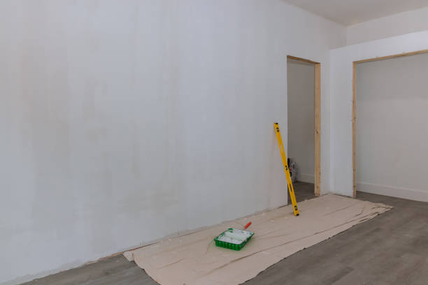 Best Crawl Space Mold Remediation  in South Rosemary, NC