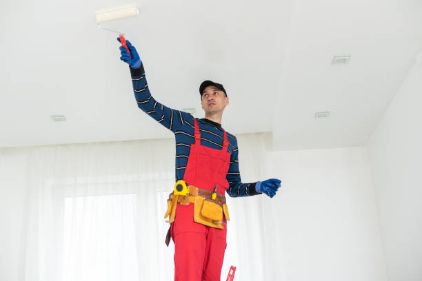Best Mold Documentation for Insurance Claims  in South Rosemary, NC
