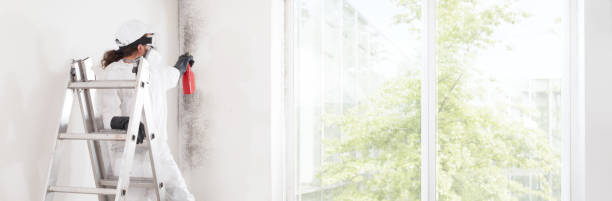 Best Air Quality Testing for Mold Spores  in South Rosemary, NC