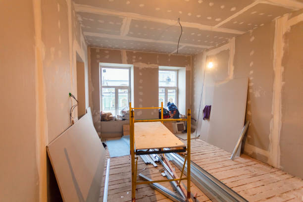 Best Commercial Mold Inspection  in South Rosemary, NC