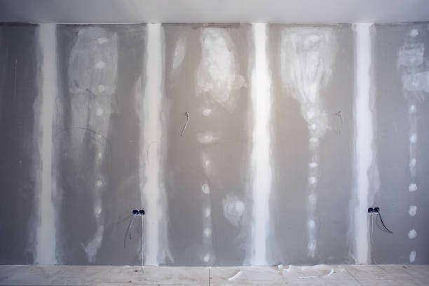 Reliable South Rosemary, NC Mold Removal Solutions